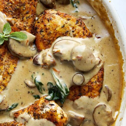 Creamy Mushroom Chicken Recipe