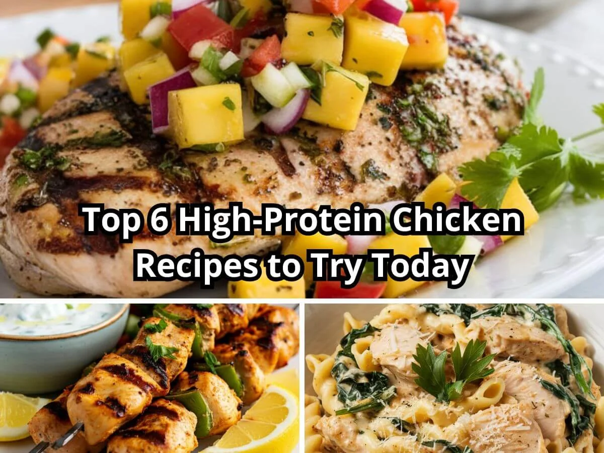 Delicious and Nutritious High-Protein Chicken Recipes